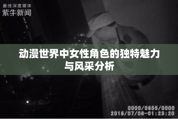 动漫世界中女性角色的独特魅力与风采分析
