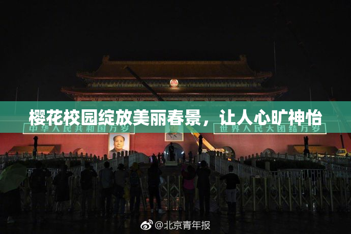 樱花校园绽放美丽春景，让人心旷神怡