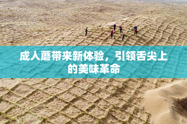 成人蘑带来新体验，引领舌尖上的美味革命