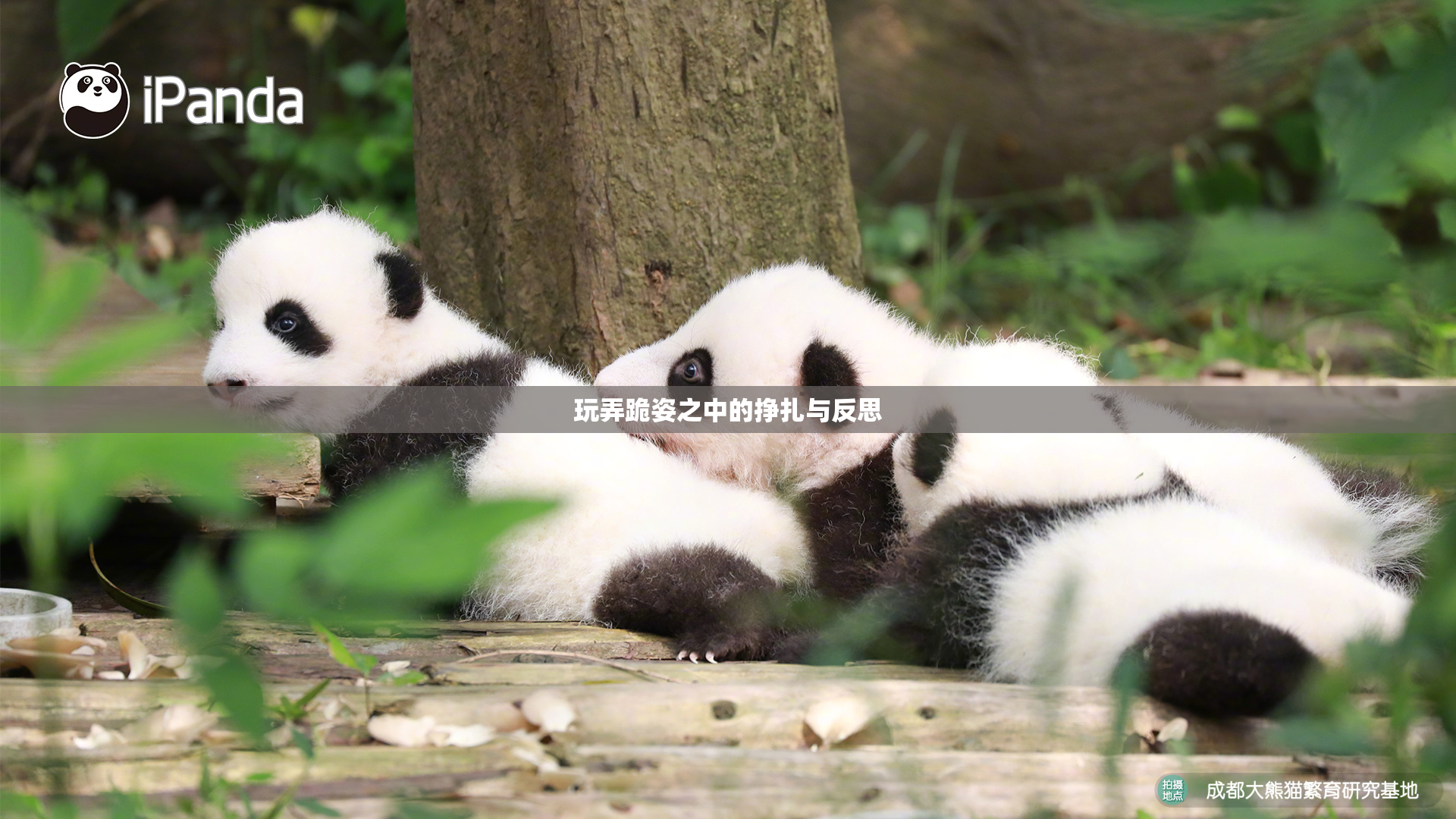 玩弄跪姿之中的挣扎与反思
