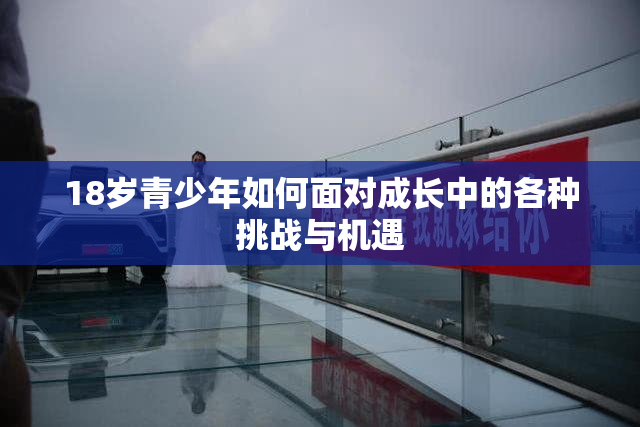 18岁青少年如何面对成长中的各种挑战与机遇
