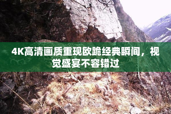 4K高清画质重现欧跪经典瞬间，视觉盛宴不容错过