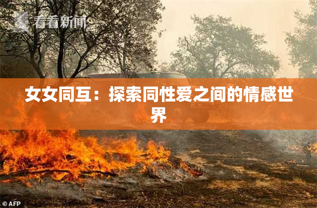 女女同互：探索同性爱之间的情感世界