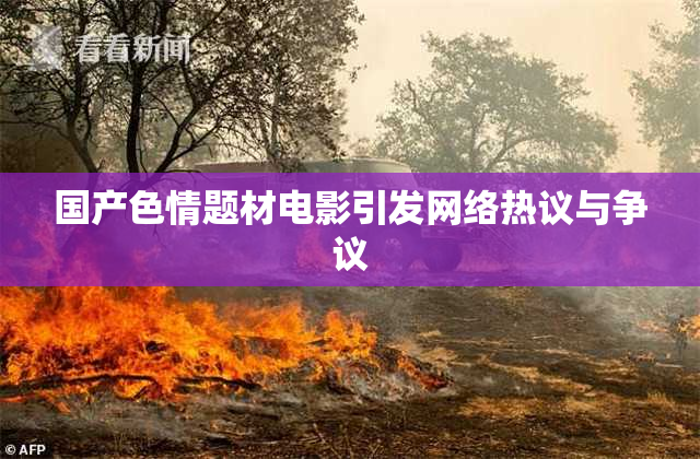 国产色情题材电影引发网络热议与争议