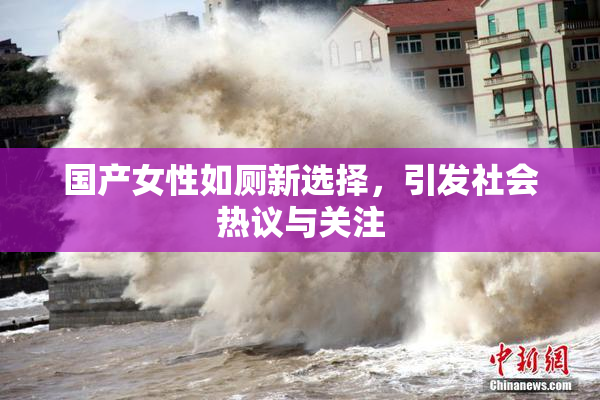 国产女性如厕新选择，引发社会热议与关注