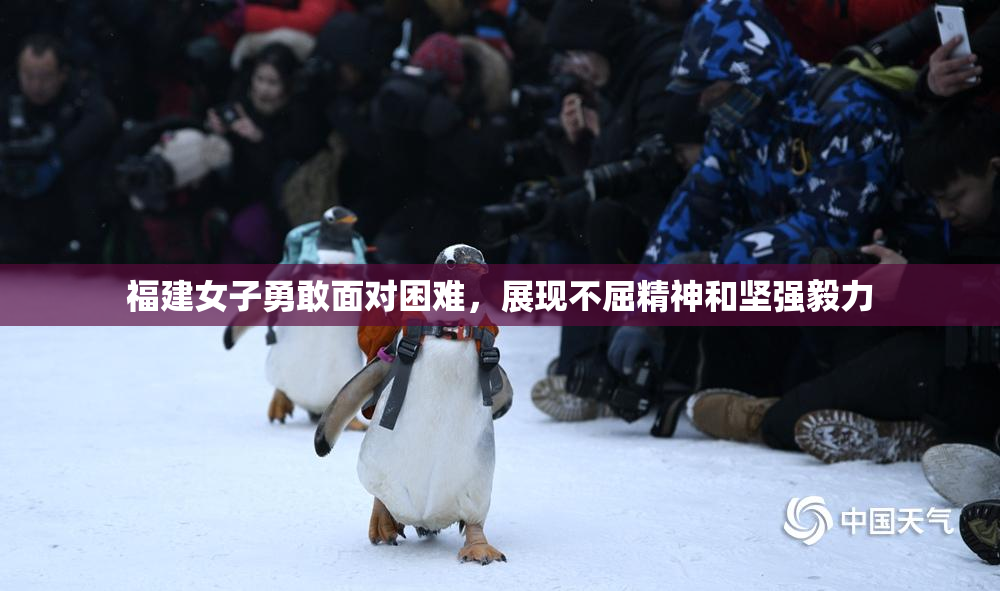 福建女子勇敢面对困难，展现不屈精神和坚强毅力
