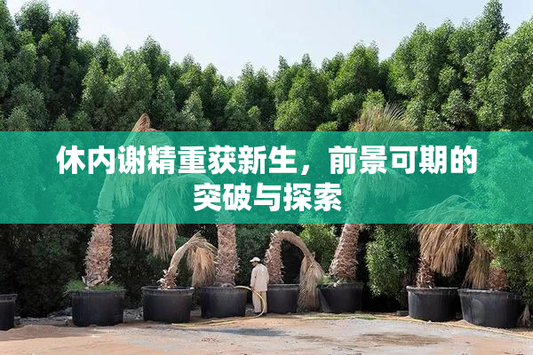 休内谢精重获新生，前景可期的突破与探索
