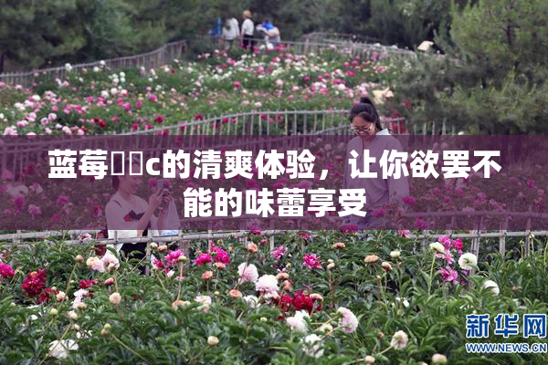 蓝莓❌‌c的清爽体验，让你欲罢不能的味蕾享受