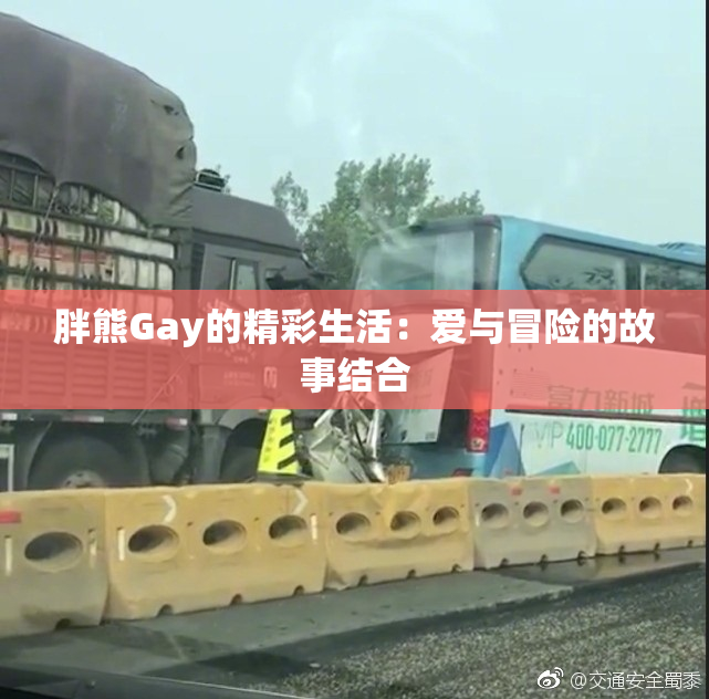 胖熊Gay的精彩生活：爱与冒险的故事结合