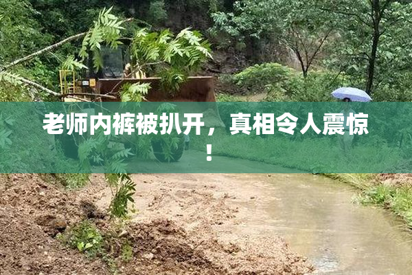 老师内裤被扒开，真相令人震惊！