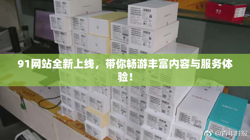 91网站全新上线，带你畅游丰富内容与服务体验！