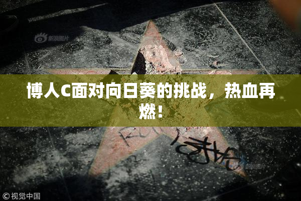 博人C面对向日葵的挑战，热血再燃！
