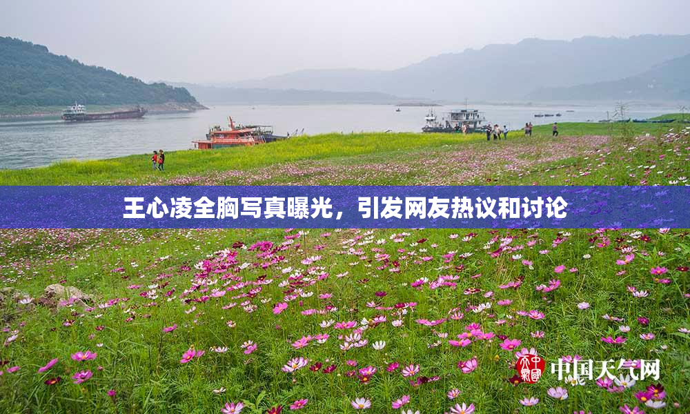 王心凌全胸写真曝光，引发网友热议和讨论