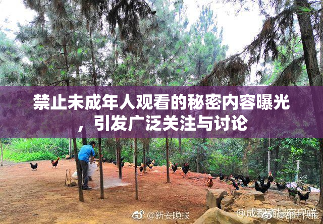 禁止未成年人观看的秘密内容曝光，引发广泛关注与讨论