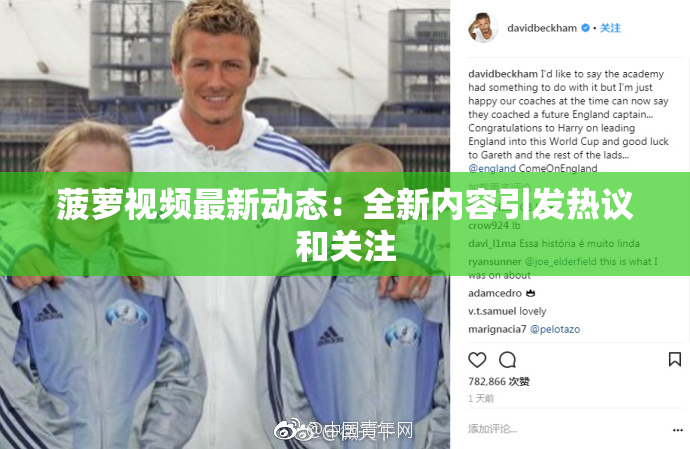 菠萝视频最新动态：全新内容引发热议和关注