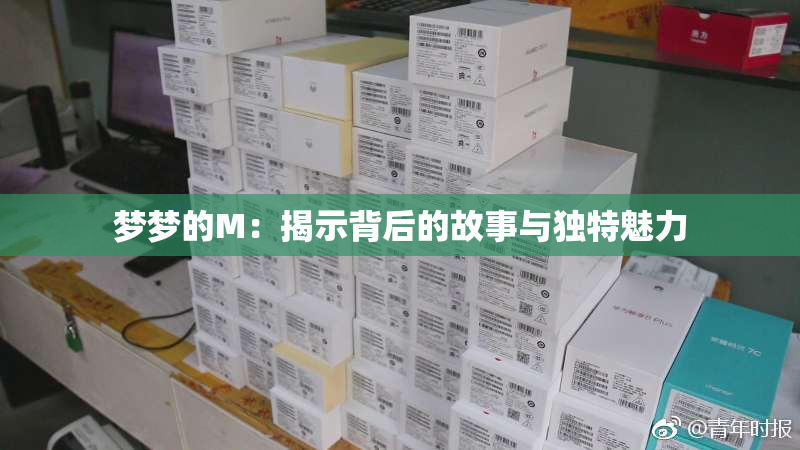 梦梦的M：揭示背后的故事与独特魅力