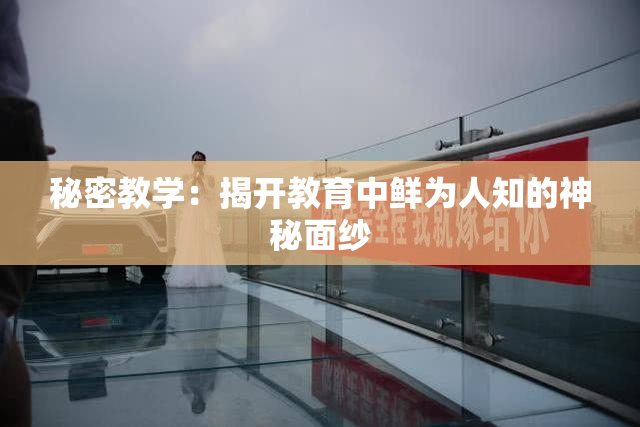 秘密教学：揭开教育中鲜为人知的神秘面纱