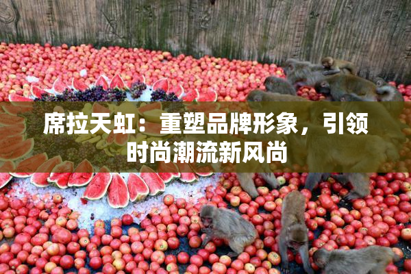 席拉天虹：重塑品牌形象，引领时尚潮流新风尚