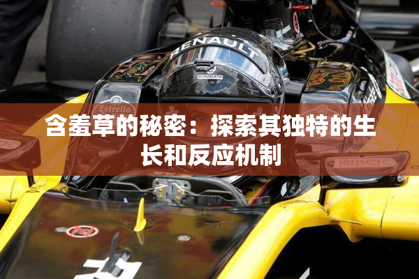含羞草的秘密：探索其独特的生长和反应机制