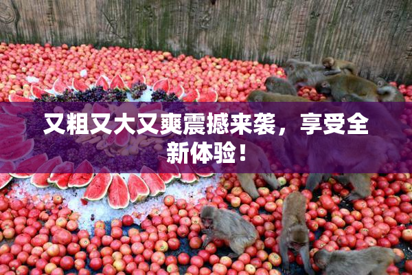 又粗又大又爽震撼来袭，享受全新体验！