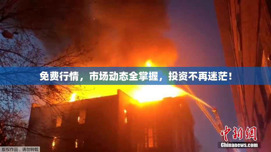 免费行情，市场动态全掌握，投资不再迷茫！