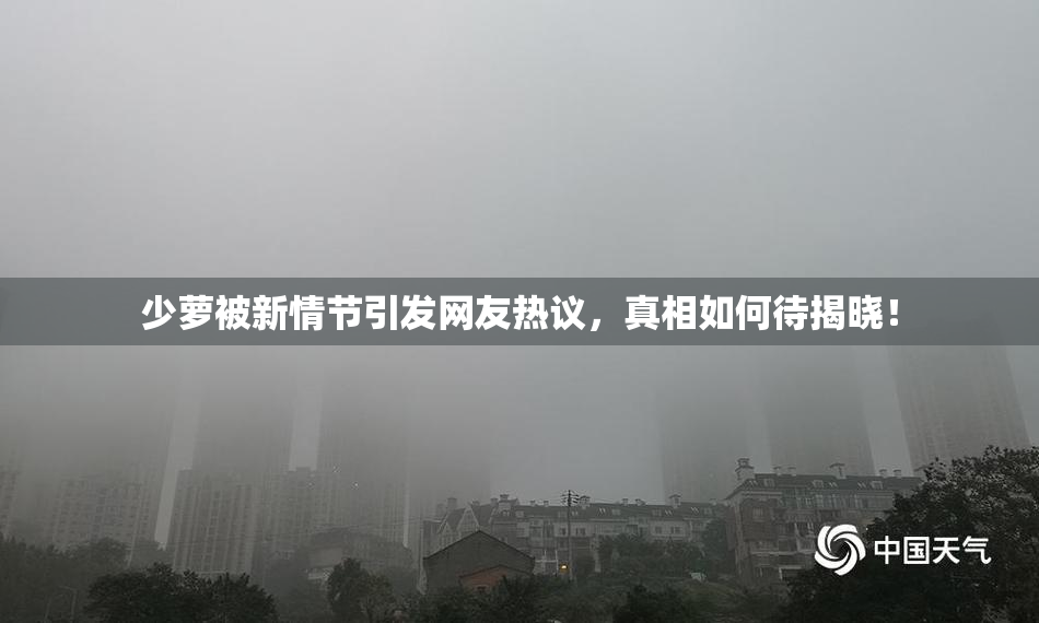 少萝被新情节引发网友热议，真相如何待揭晓！