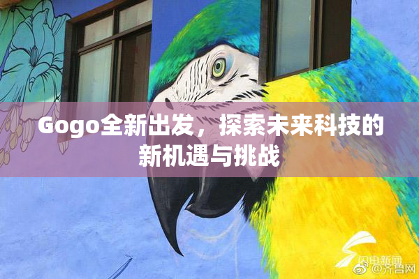 Gogo全新出发，探索未来科技的新机遇与挑战