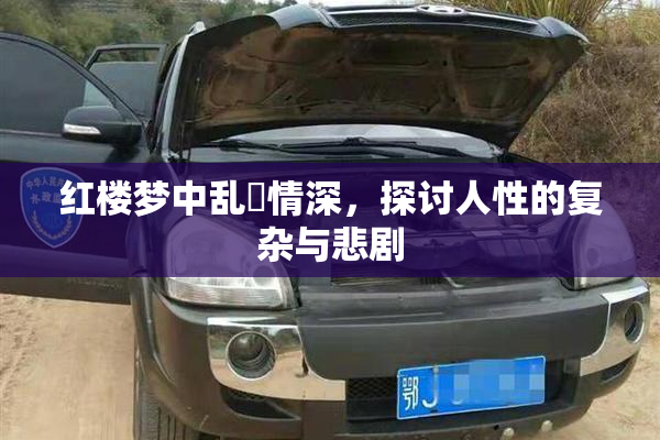 红楼梦中乱婬情深，探讨人性的复杂与悲剧