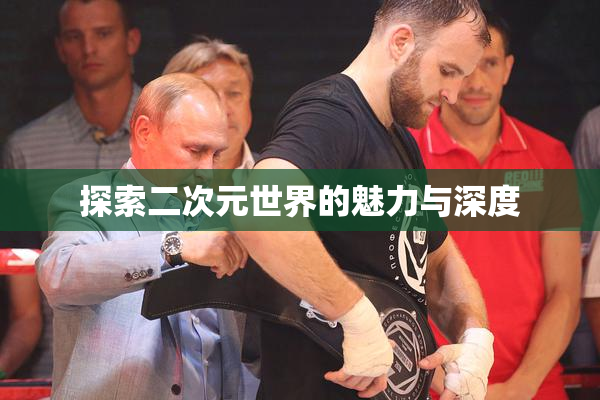 探索二次元世界的魅力与深度