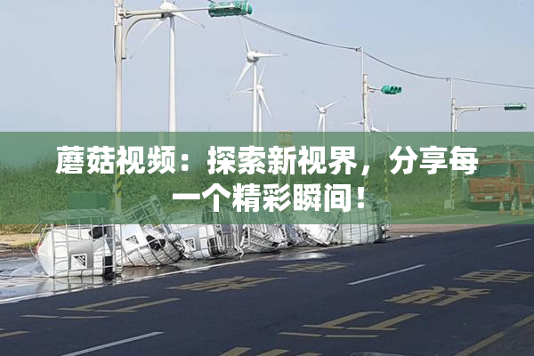 蘑菇视频：探索新视界，分享每一个精彩瞬间！