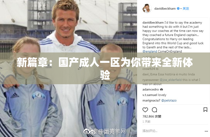 新篇章：国产成人一区为你带来全新体验