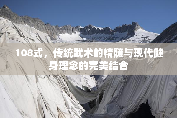 108式，传统武术的精髓与现代健身理念的完美结合