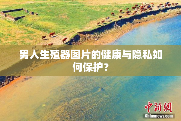 男人生殖器图片的健康与隐私如何保护？