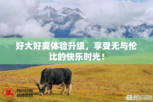 好大好爽体验升级，享受无与伦比的快乐时光！