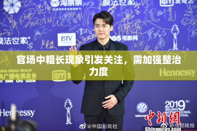 官场中粗长现象引发关注，需加强整治力度