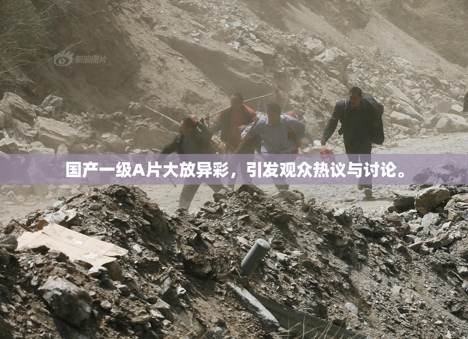 国产一级A片大放异彩，引发观众热议与讨论。