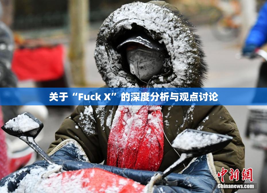 关于“Fuck X”的深度分析与观点讨论