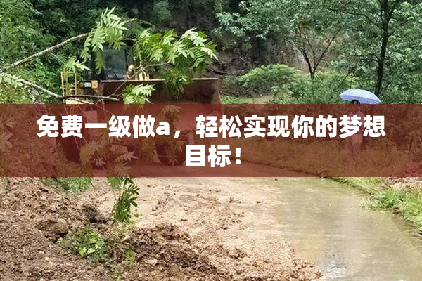 免费一级做a，轻松实现你的梦想目标！