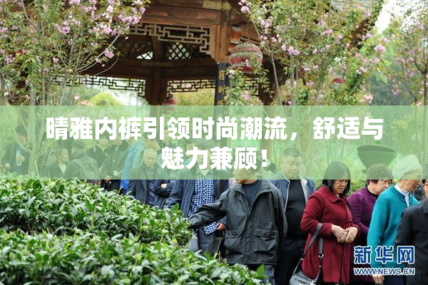 晴雅内裤引领时尚潮流，舒适与魅力兼顾！