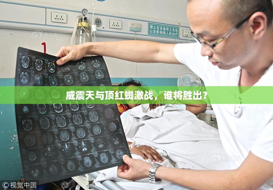 威震天与顶红蜘激战，谁将胜出？