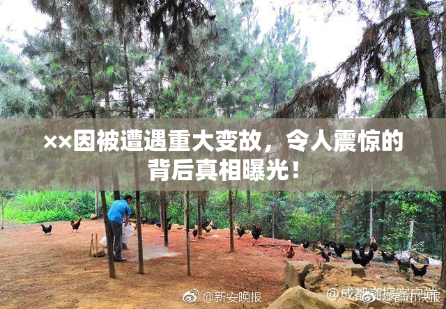 ××因被遭遇重大变故，令人震惊的背后真相曝光！