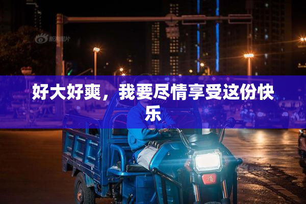 好大好爽，我要尽情享受这份快乐