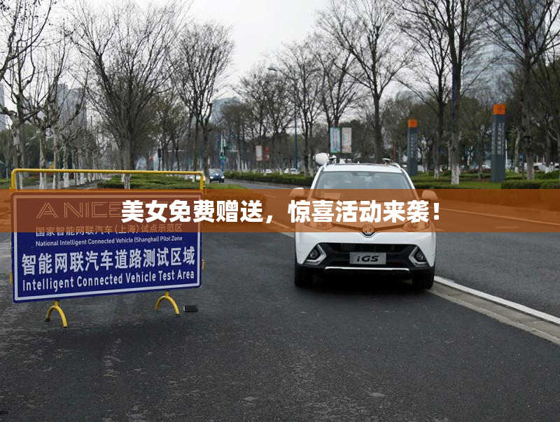 美女免费赠送，惊喜活动来袭！