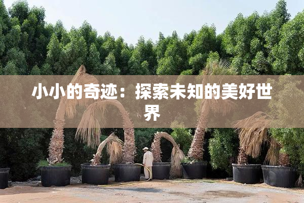 小小的奇迹：探索未知的美好世界