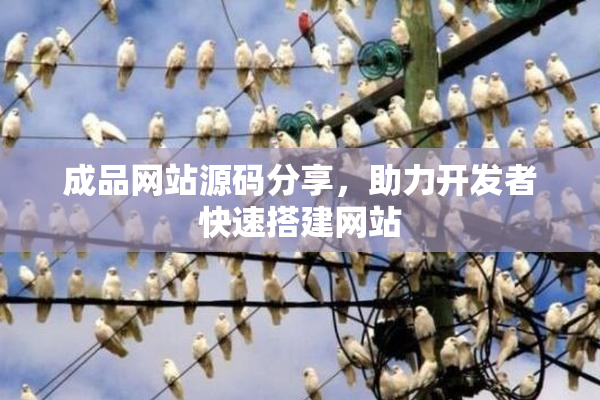 成品网站源码分享，助力开发者快速搭建网站