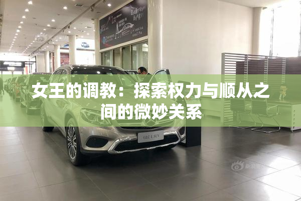 女王的调教：探索权力与顺从之间的微妙关系
