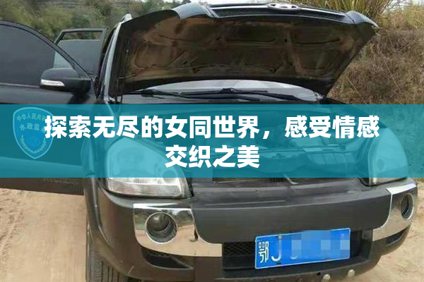 探索无尽的女同世界，感受情感交织之美