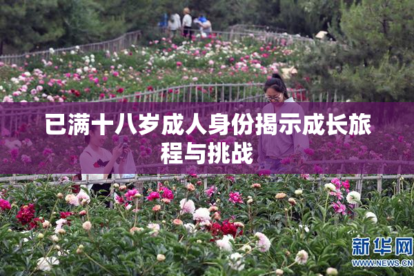 已满十八岁成人身份揭示成长旅程与挑战