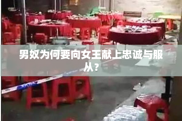 男奴为何要向女王献上忠诚与服从？
