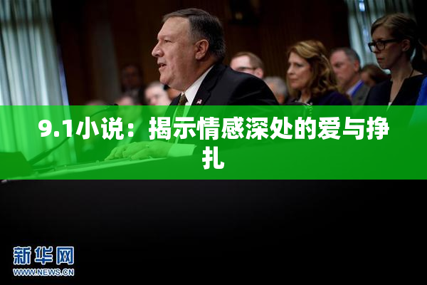 9.1小说：揭示情感深处的爱与挣扎